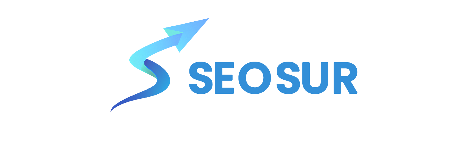 Seosur — Agencia Digital Uruguay